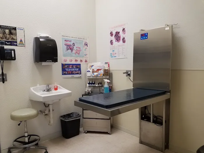 Lakeside Pet Hospital Picture 5