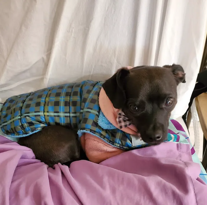 Lakeside Pet Hospital Picture 2