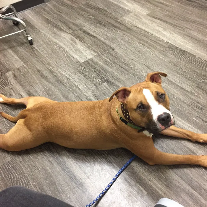 Lakeside Pet Hospital Picture 10