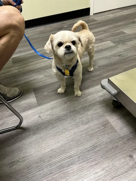 Parkway Veterinary Hospital Picture 6
