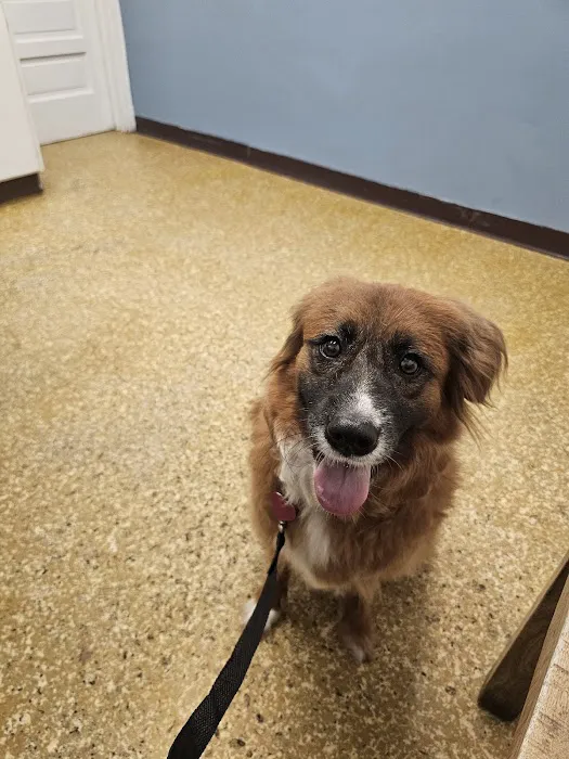 Acredale Animal Hospital Picture 3