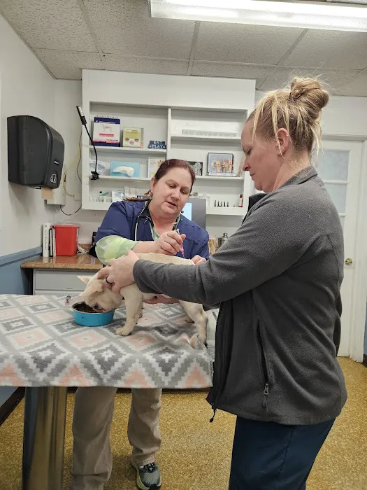 Acredale Animal Hospital Picture 4