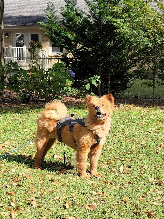 Family Veterinary Center Picture 9