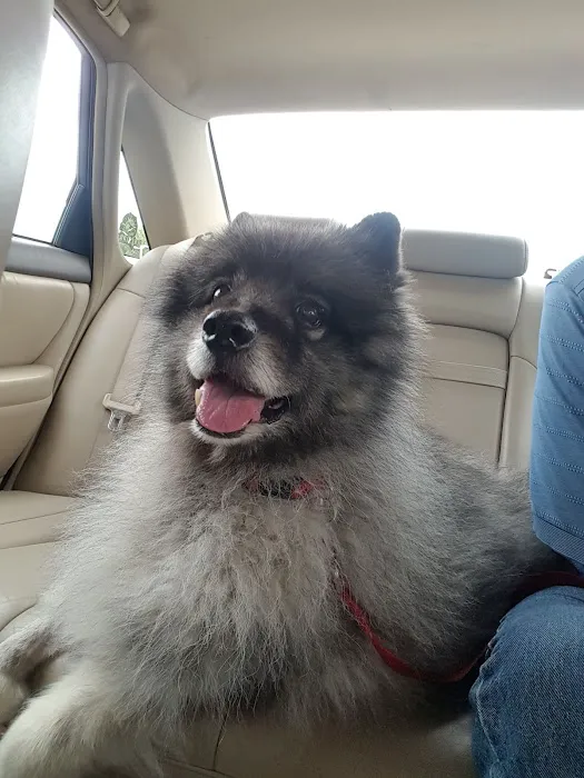 Family Veterinary Center Picture 6