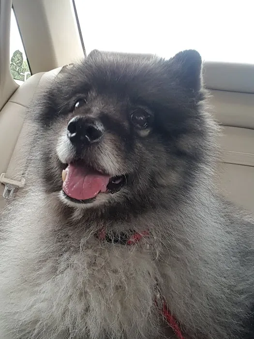 Family Veterinary Center Picture 7
