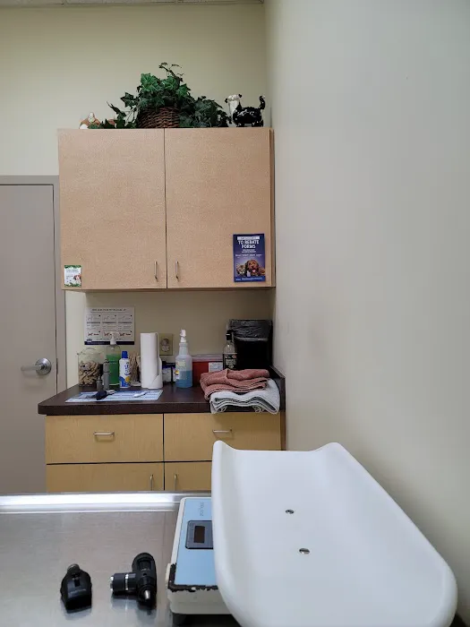 Family Veterinary Center Picture 4