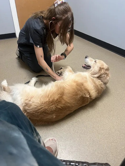 Hickory Veterinary Hospital Picture 5