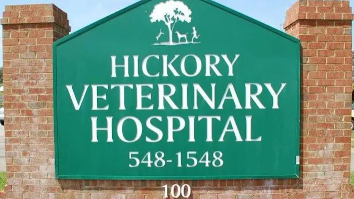 Hickory Veterinary Hospital Picture 8