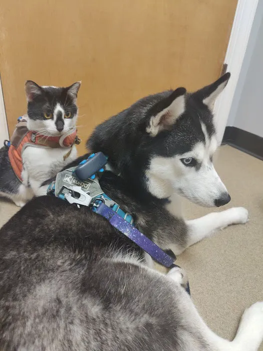 Hickory Veterinary Hospital Picture 6
