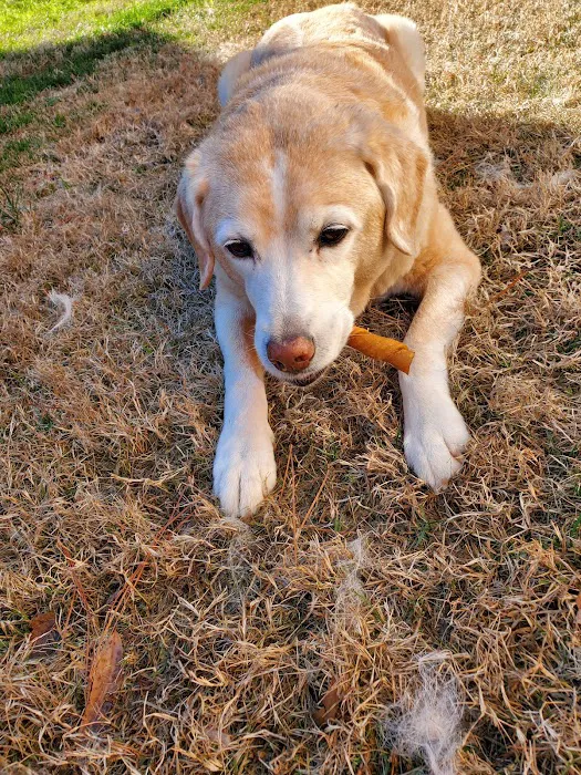 Hickory Veterinary Hospital Picture 9