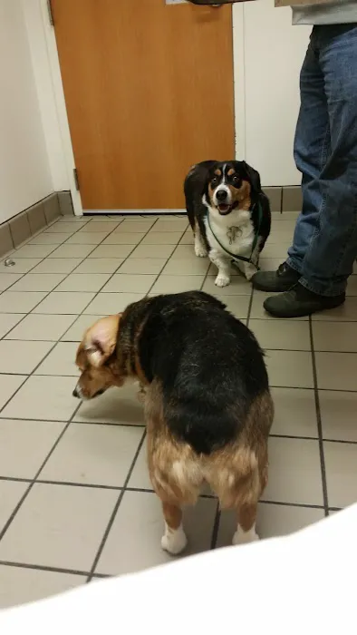 The Oaks Veterinary Clinic Picture 1