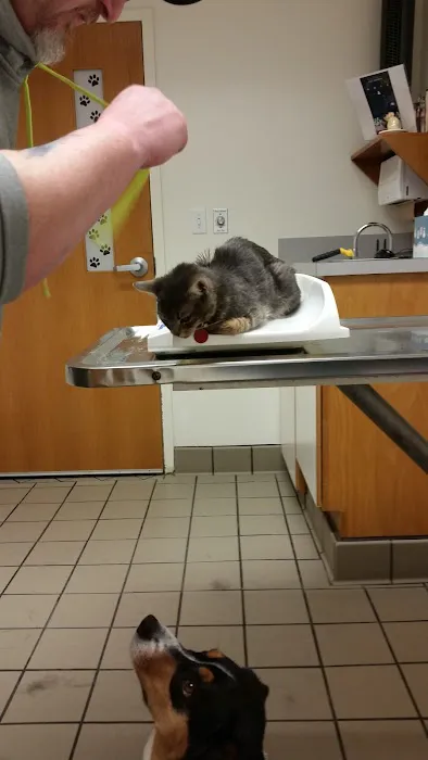 The Oaks Veterinary Clinic Picture 3