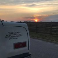 Oaks Veterinary Equine & Farm ico