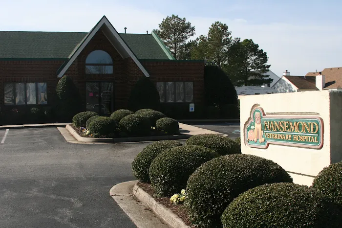 Nansemond Veterinary Clinic Picture 3