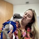 Santa Monica Pet Medical Center: Yuan Michael DVM