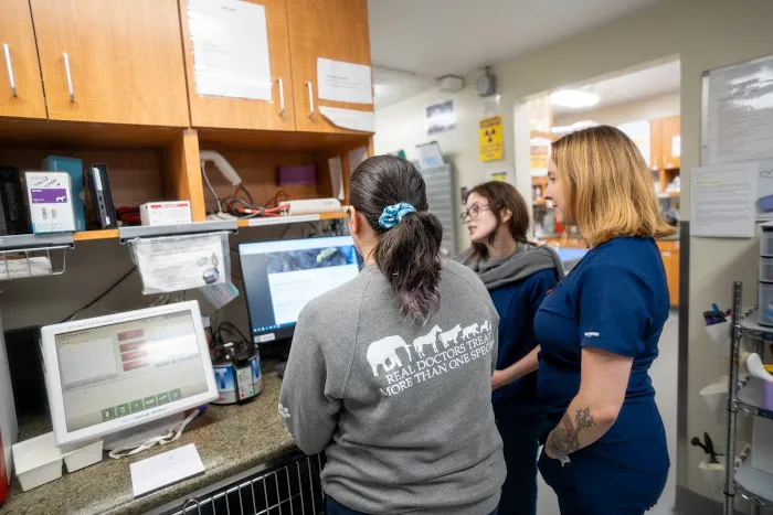 Santa Monica Pet Medical Center Picture 2