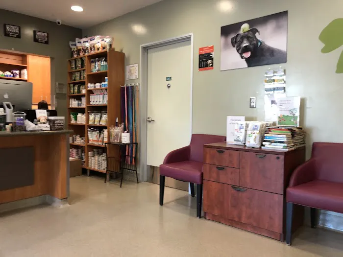 Santa Monica Pet Medical Center Picture 4
