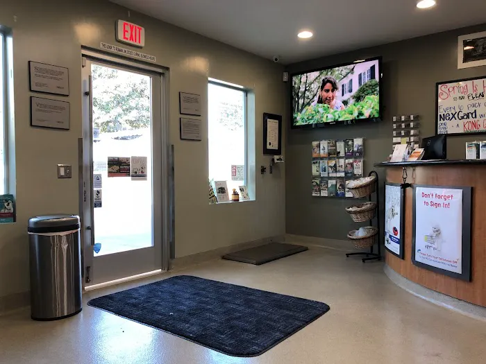 Santa Monica Pet Medical Center Picture 5