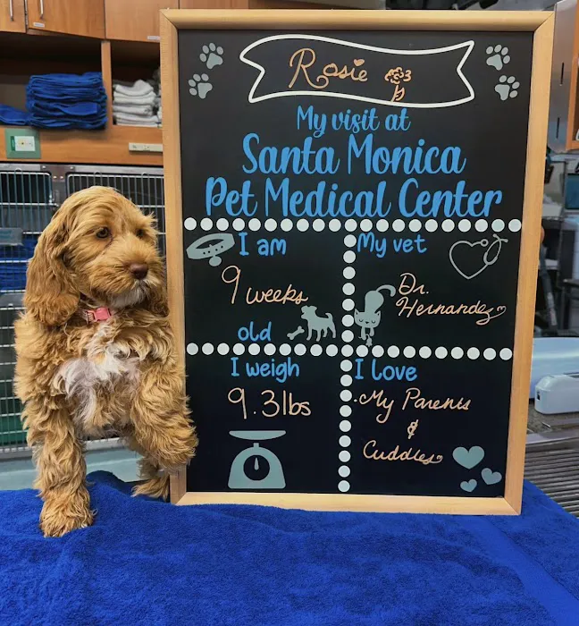 Santa Monica Pet Medical Center Picture 10