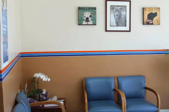 Westside Pet Clinic Picture 3