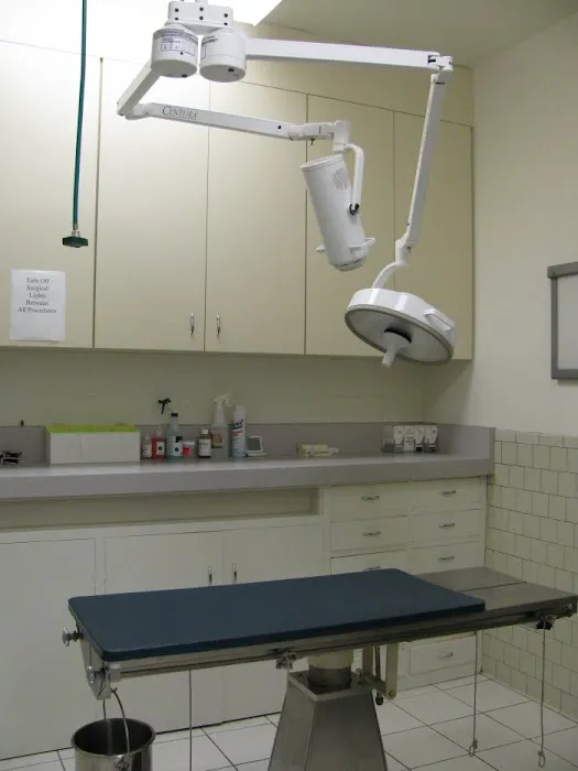 VCA Santa Monica Dog and Cat Hospital Picture 5