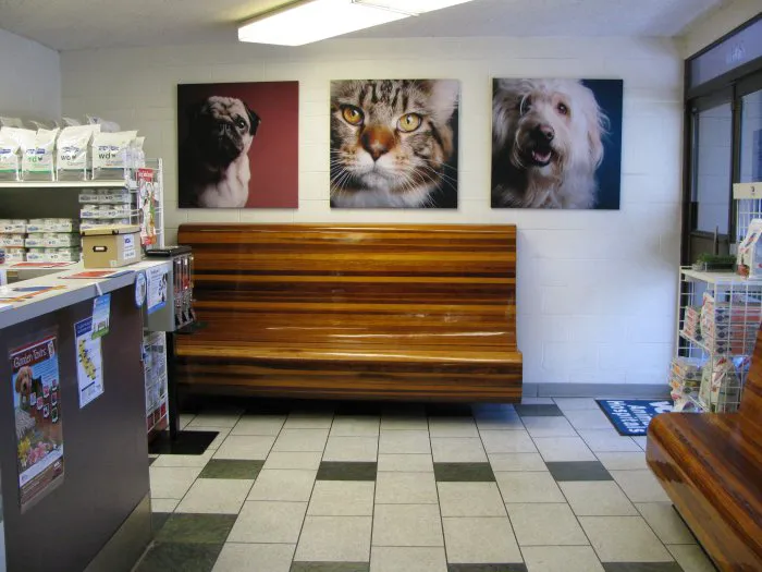 VCA Santa Monica Dog and Cat Hospital Picture 6