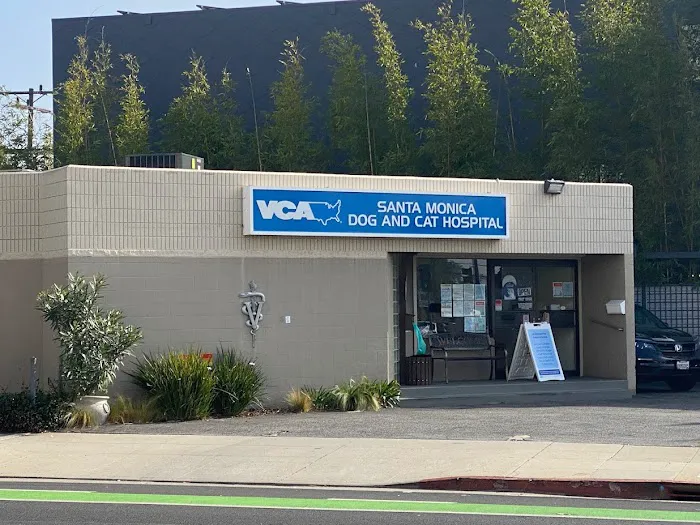 VCA Santa Monica Dog and Cat Hospital Picture 7