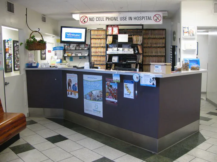 VCA Santa Monica Dog and Cat Hospital Picture 4