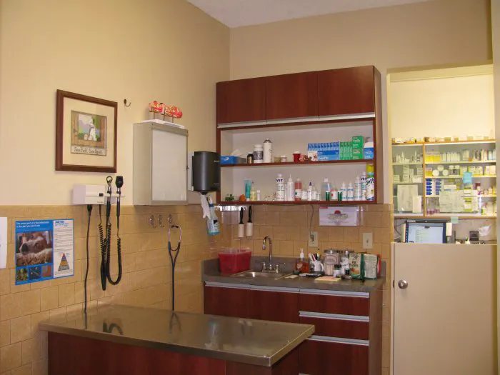 VCA Santa Monica Dog and Cat Hospital Picture 3