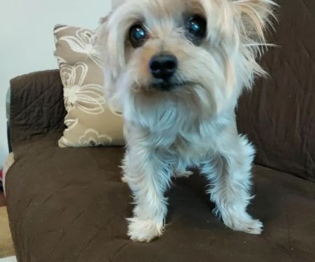 North Hollywood Animal Care Center