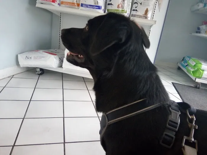 North Hollywood Animal Care Center Picture 3
