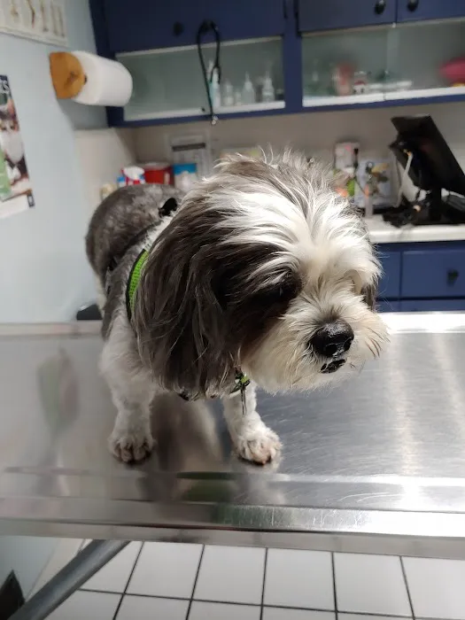 North Hollywood Animal Care Center Picture 7
