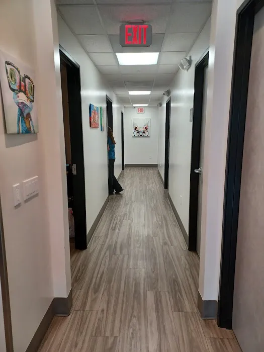 Animal Vision Care & Surgical Center Picture 3