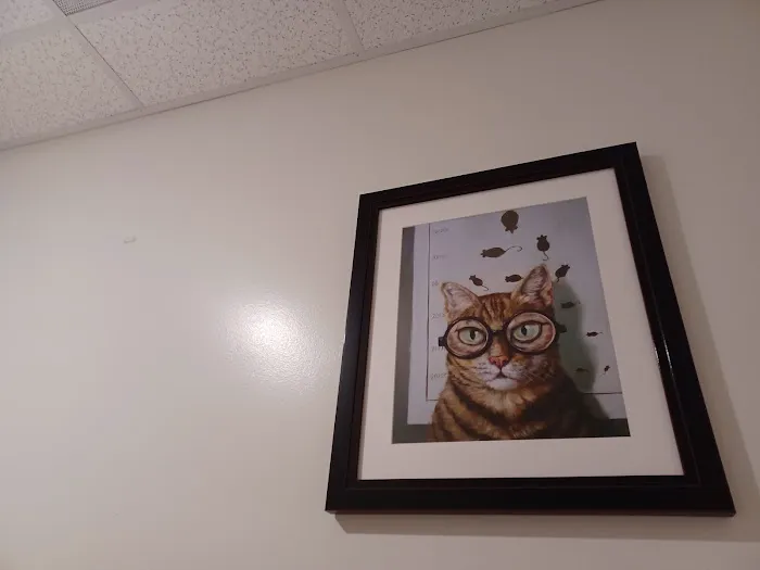 Animal Vision Care & Surgical Center Picture 2