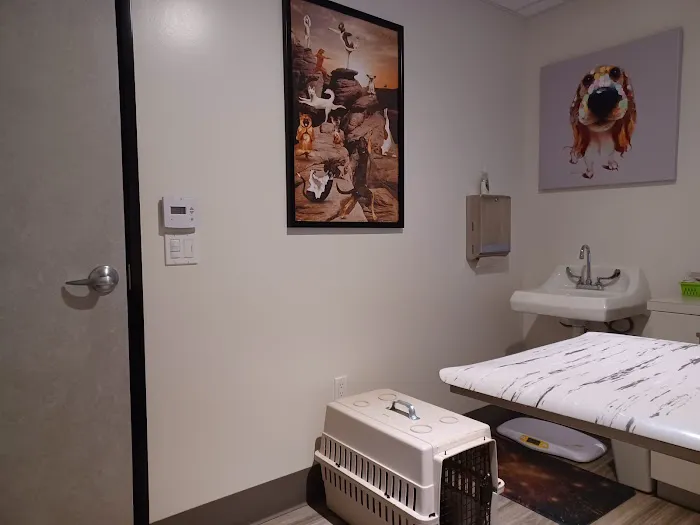 Animal Vision Care & Surgical Center Picture 4