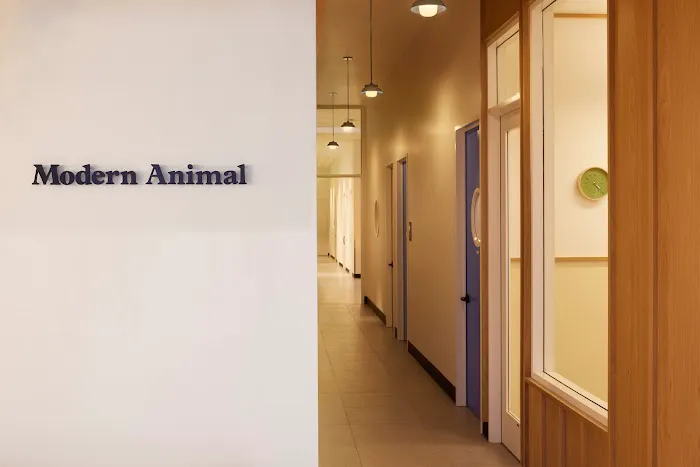 Modern Animal Picture 3