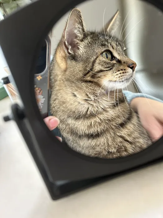 Best Friends Animal Hospital Picture 2