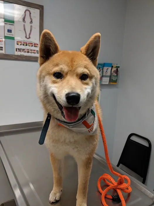 Best Friends Animal Hospital Picture 5