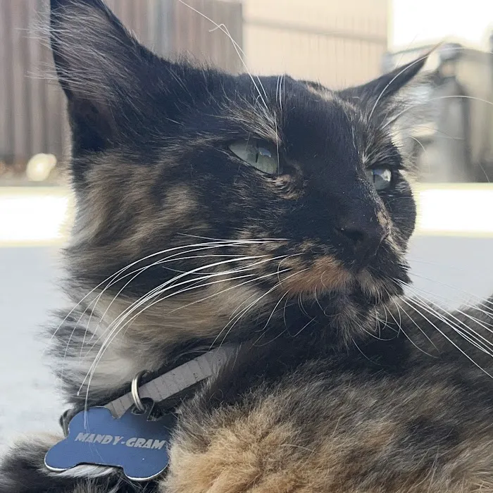 Best Friends Animal Hospital Picture 9