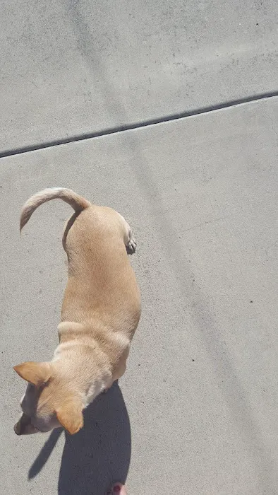 West Foothill Animal Hospital Picture 7