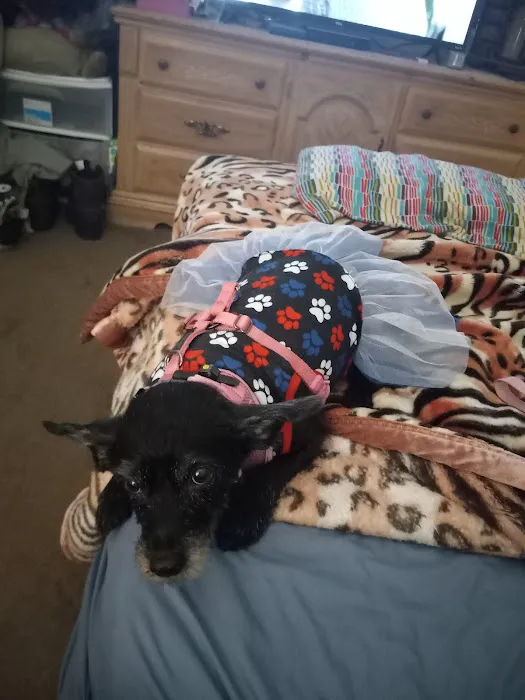 Walnut Valley Animal Hospital Picture 10