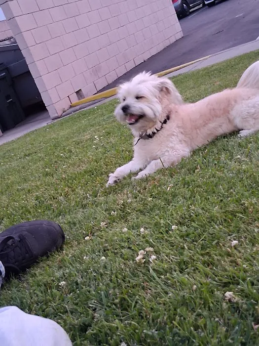 South Glendora Animal Hospital Picture 7