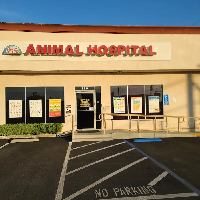 South Glendora Animal Hospital Picture 4