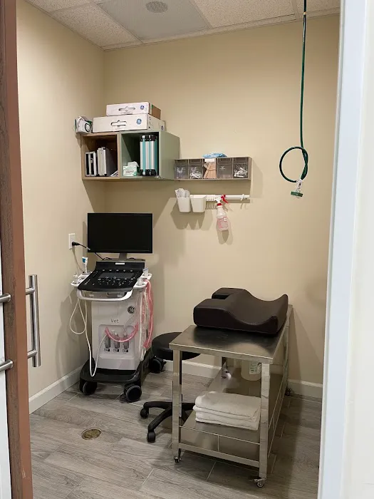 Healthy Paws Animal Hospital Picture 2
