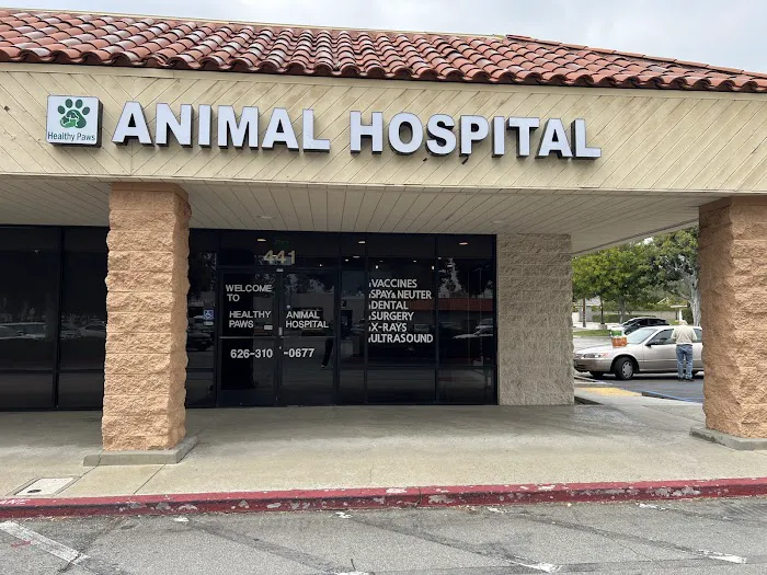 Healthy Paws Animal Hospital Picture 8