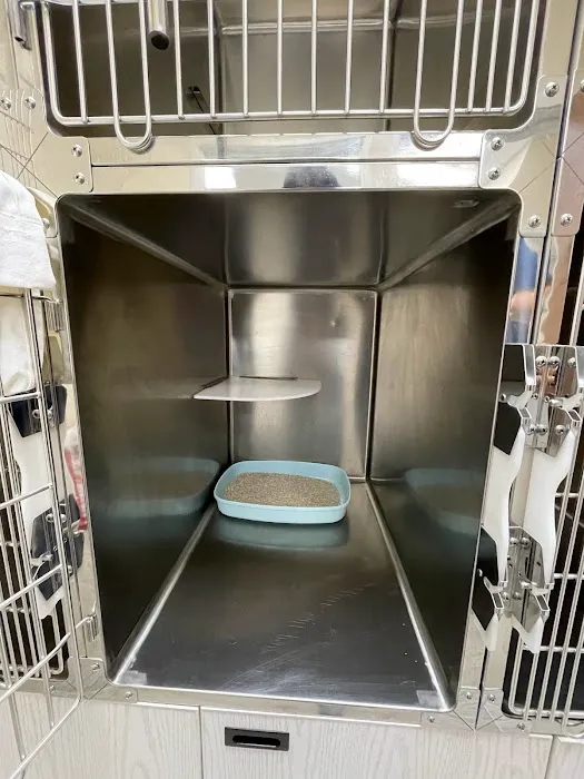 Healthy Paws Animal Hospital Picture 5