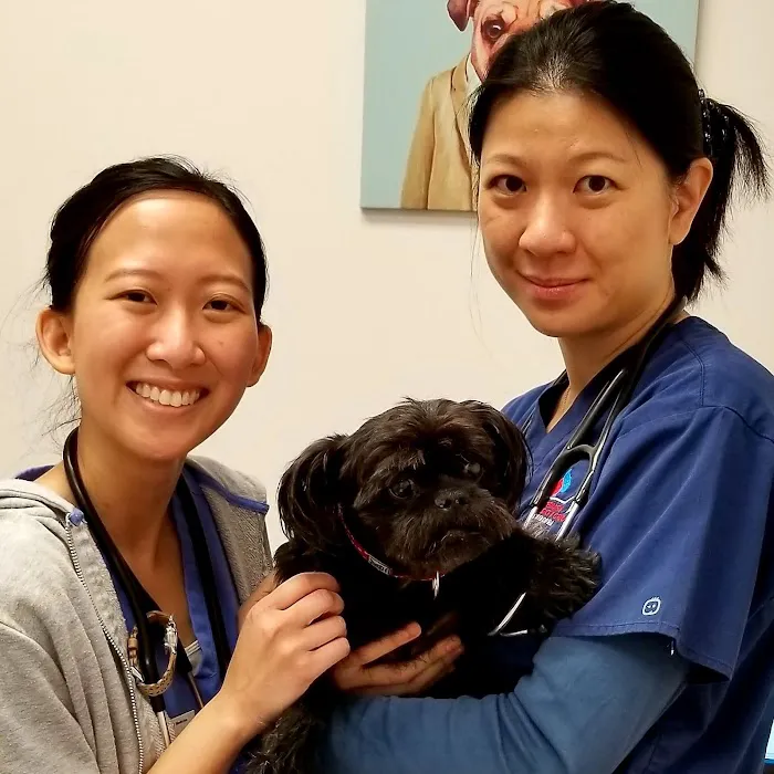 Veterinary Specialty Group of Glendora Picture 9