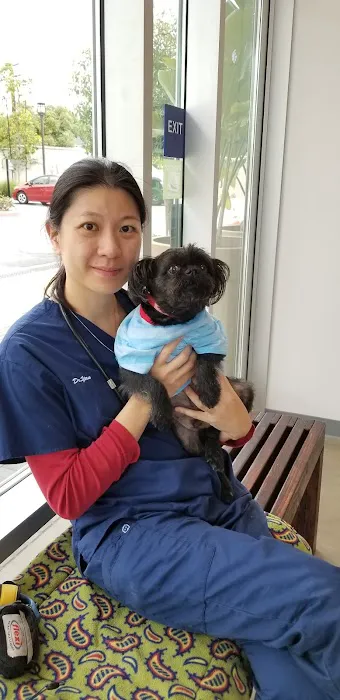 Veterinary Specialty Group of Glendora Picture 3