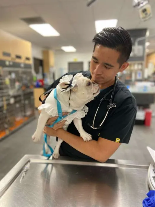 Sunshine Veterinary Care Picture 9