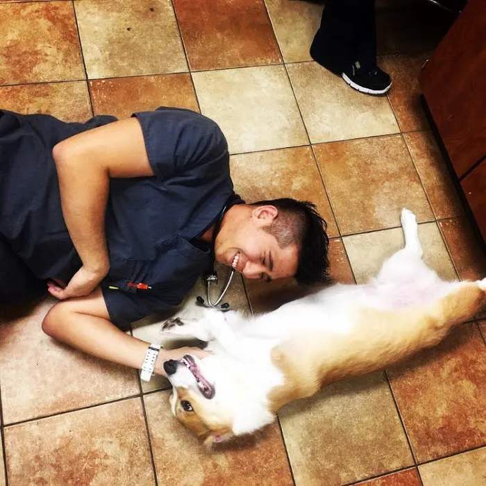 Sunshine Veterinary Care Picture 6